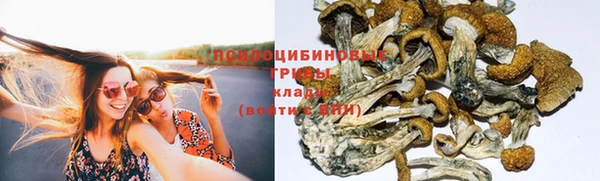 гашик Инсар