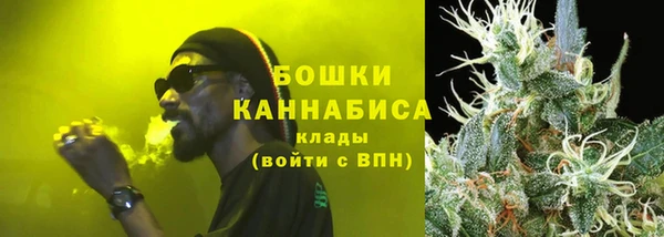 ALPHA PVP Иннополис
