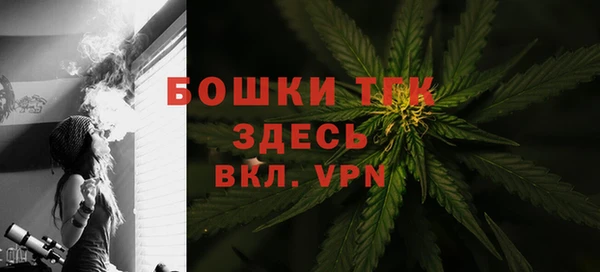 гашик Инсар