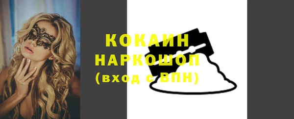 гашик Инсар