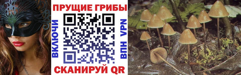 Купить закладки  Билибино  Галлюциногенные грибы ЛСД 